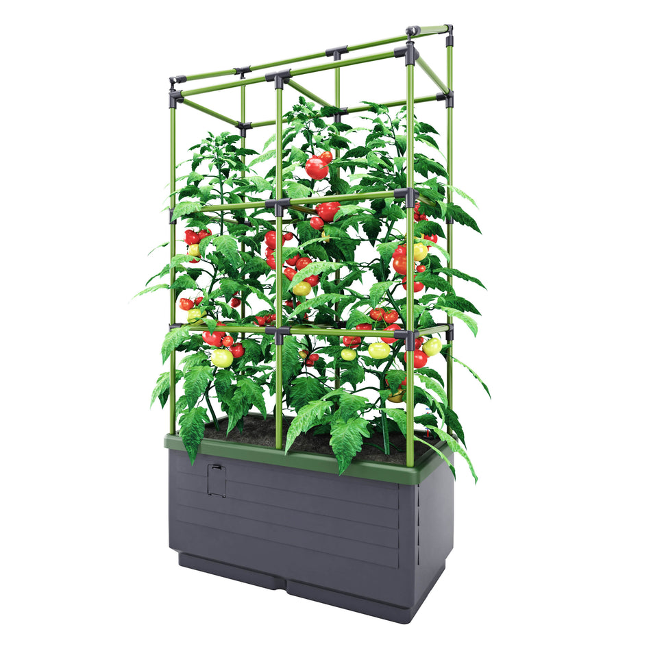 Raised Garden Bed CITY JUNGLE, Watering System, Trellis, Planter Box 2 x 1.1 x 4.2 ft.