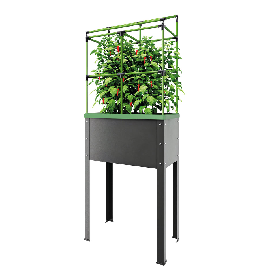 Raised Garden Bed with Watering System HEIDELBERG, Planter Box 2.6 x 2 x 1 ft.