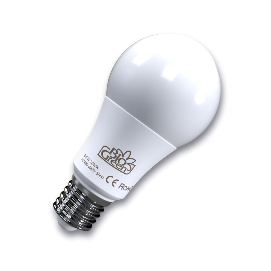 Light Bulb FLORABOOSTER 505, Medium Base, Full Spectrum LED, 6,5 Watts