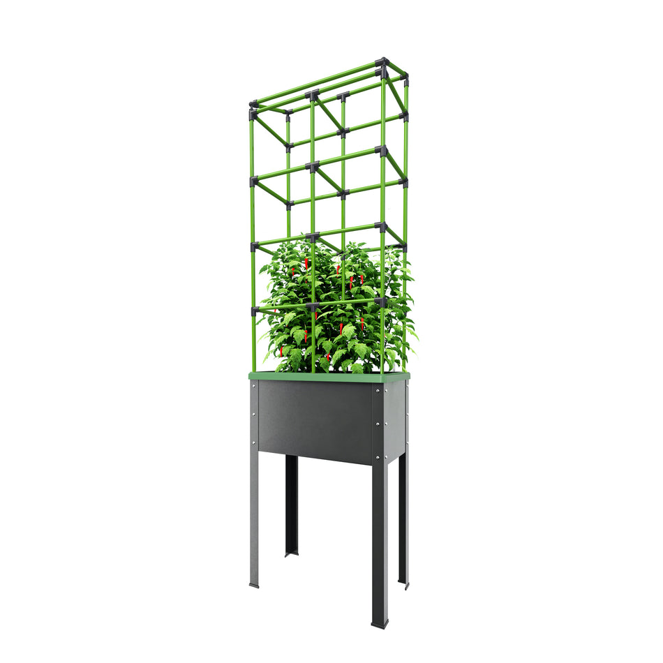 Trellis for Raised Garden Bed with Watering System HEIDELBERG