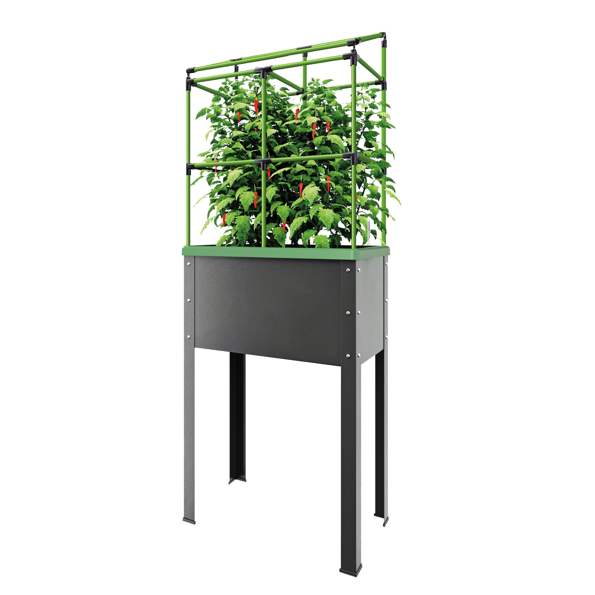 elevated self watering planter Raised Garden Bed - "Heidelberg"