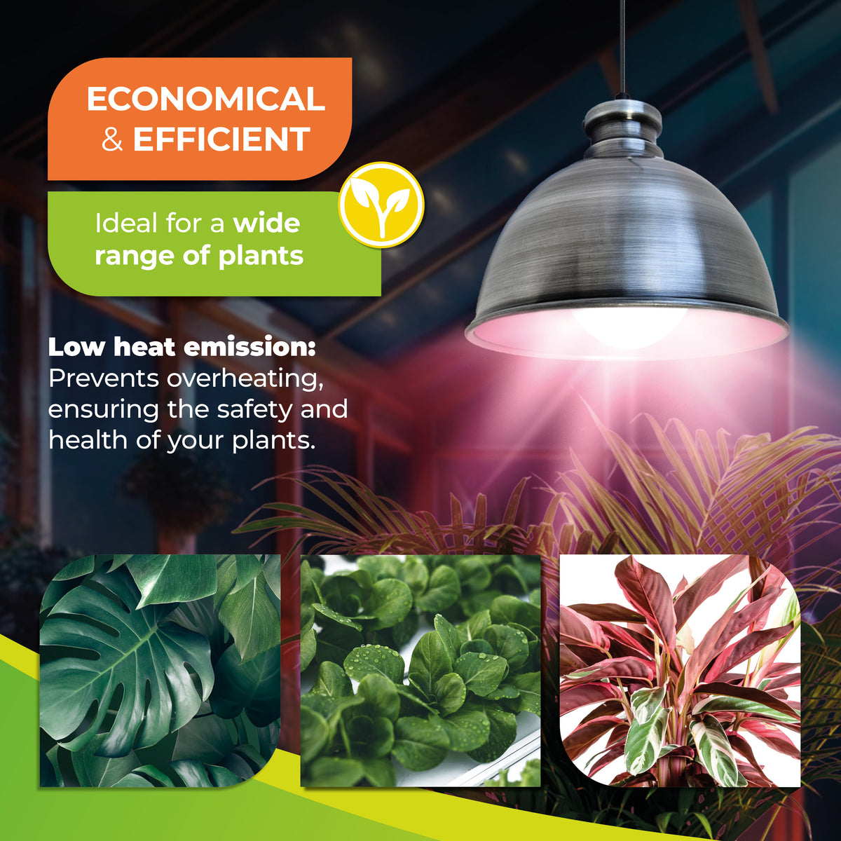 grow light bulbs for plants Plant Grow Light Bulb - "LUM 505" 6,5W