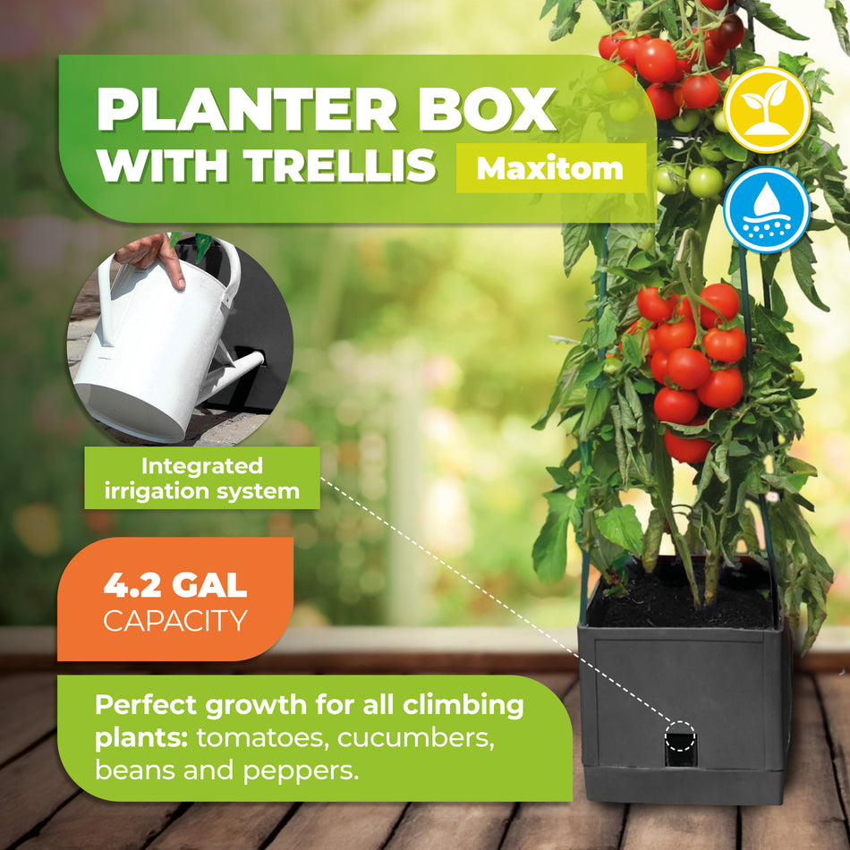 Plant Tower with Watering System MAXITOM - 2 pcs. Grey, with Green Trellis