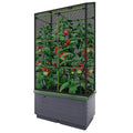 CITY JUNGLE NET COVER