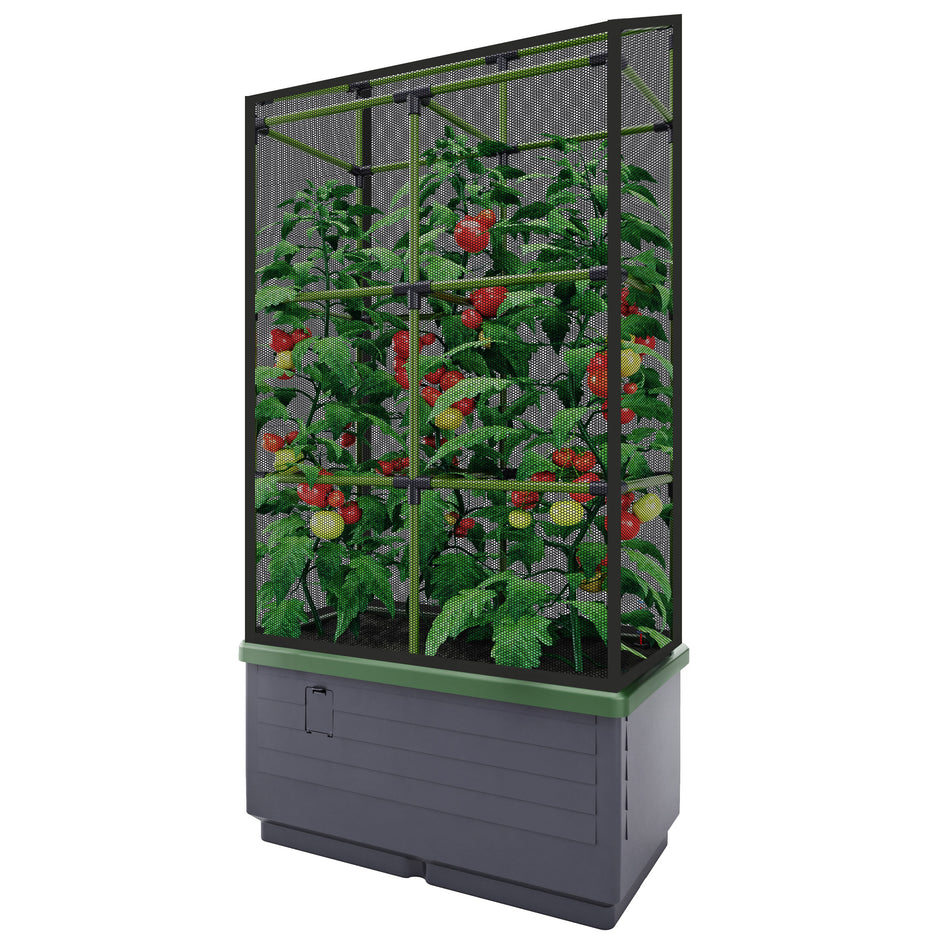 CITY JUNGLE NET COVER