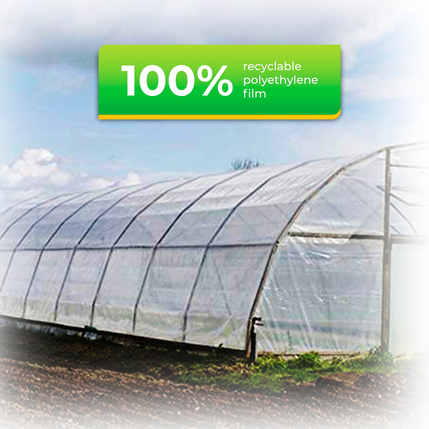 Heavy Duty Translucent Tarp "Rainexo" 150 GSM