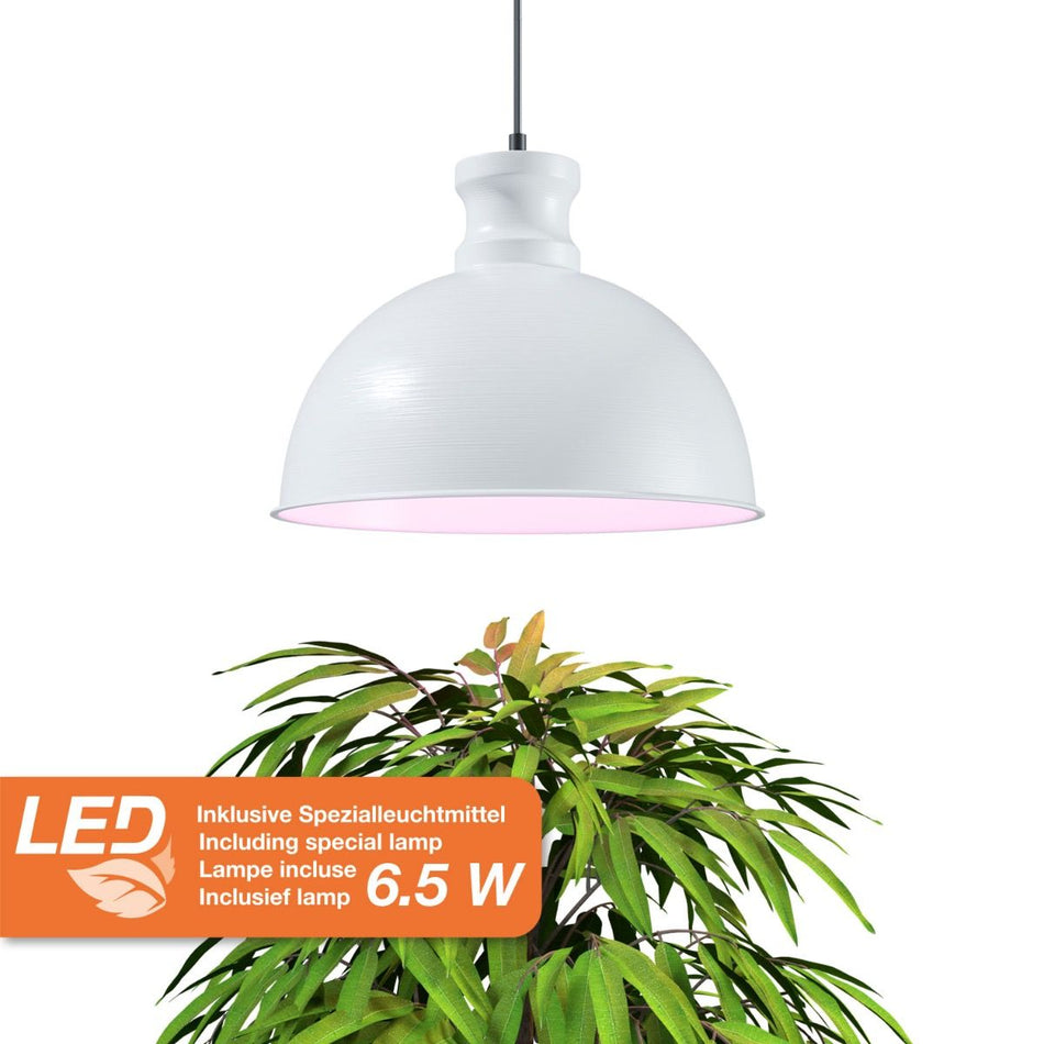 Led Plant Light "Florabooster" Incl. Plant Grow Lamp 6,5w - White